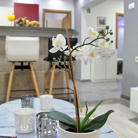 Apartment Marino Макарська Екстер'єр фото